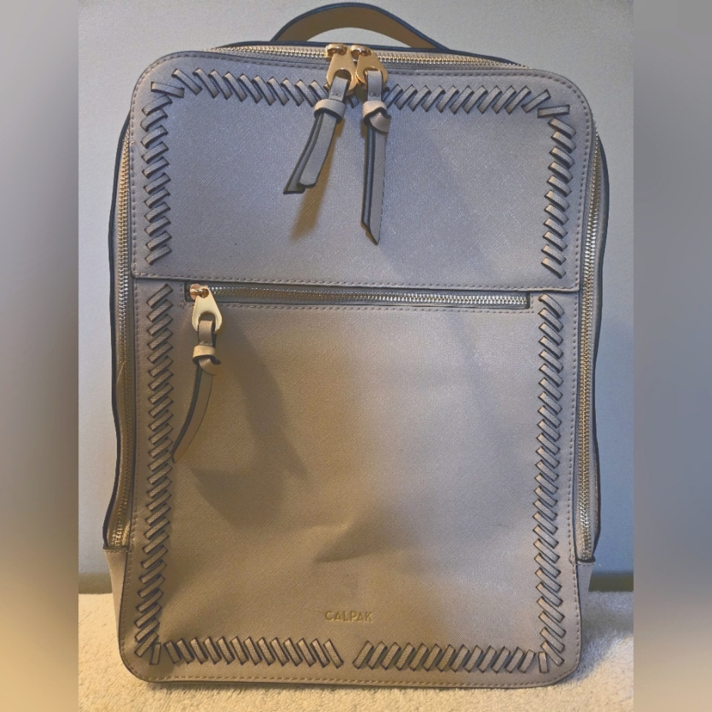 Calpak Laptop backpack